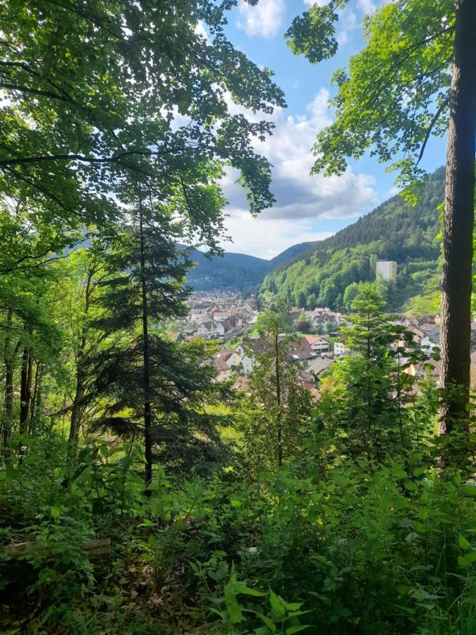 Ferienwohnung am Enzufer mit Balkon in Bad Wildbad im Schwarzwald Exterior foto